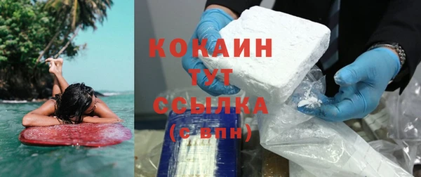 гидра Зеленодольск
