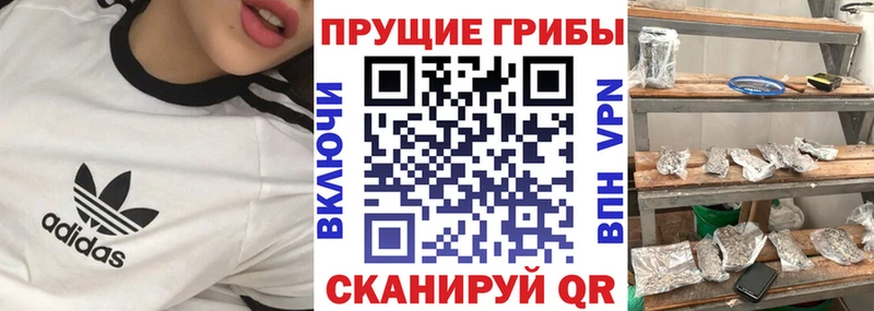 Купить закладки  Ермолино  Псилоцибиновые грибы мухоморы 